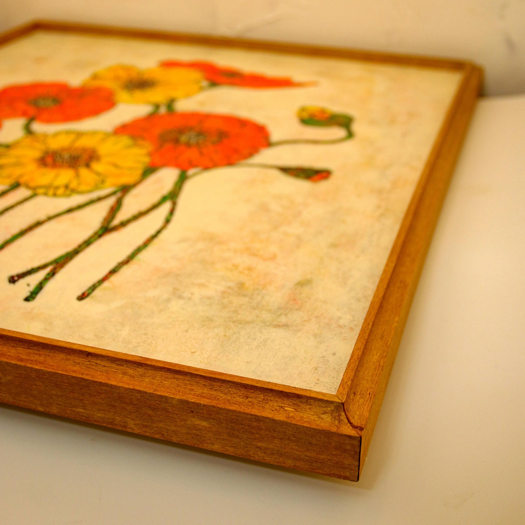 Eight Poppies 【原画】 No.273